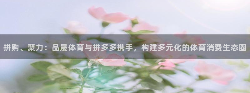 速播体育网：拼购、聚力：品晟体育与拼多多携手，构建多元化的体育消费生态圈