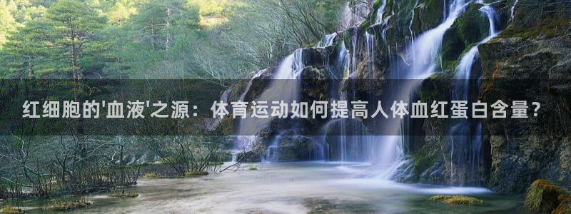 速播体育直播：红细胞的\'血液\'之源：体育运动如何提高人体血红蛋白含量？