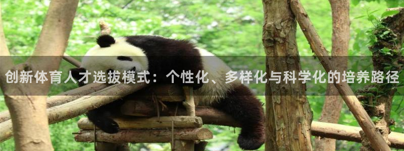 速播体育网：创新体育人才选拔模式：个性化、多样化与科学化的培养路径