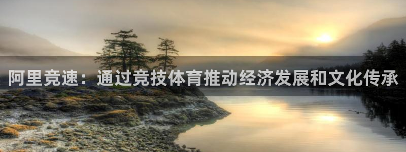 速播体育直播：阿里竞速：通过竞技体育推动经济发展和文化传承
