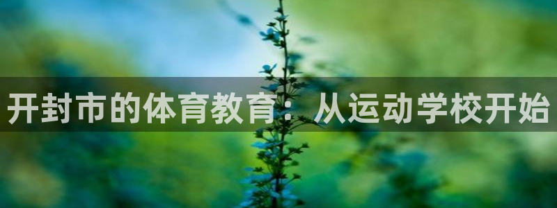 速播体育网：开封市的体育教育：从运动学校开始