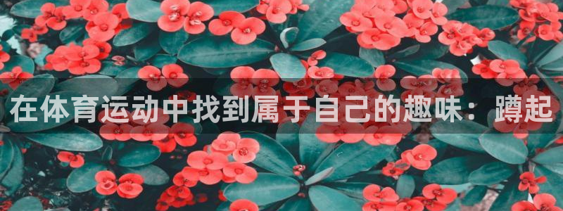 速播体育：在体育运动中找到属于自己的趣味：蹲起