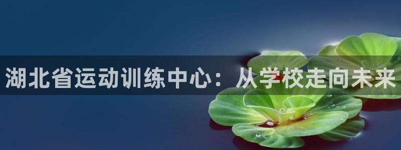 速播体育网：湖北省运动训练中心：从学校走向未来